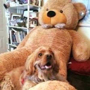 Meet your Posher, Louise